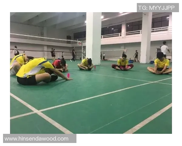 深圳羽毛球队逆袭之路揭秘挑战赛背后的奋斗与荣耀 深圳羽毛球队逆袭之路揭秘挑战赛背后的奋斗与荣耀