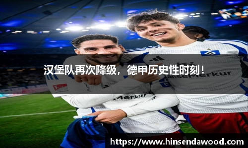 汉堡队再次降级，德甲历史性时刻！