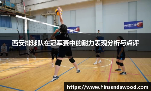 完美体育
